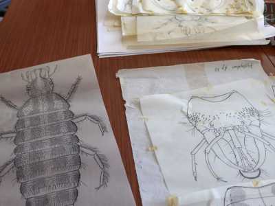 ...il quale prima di farci scoprire il �museo� ci mostra una serie di precisi disegni scientifici realizzati a mano con pennini e inchiostro